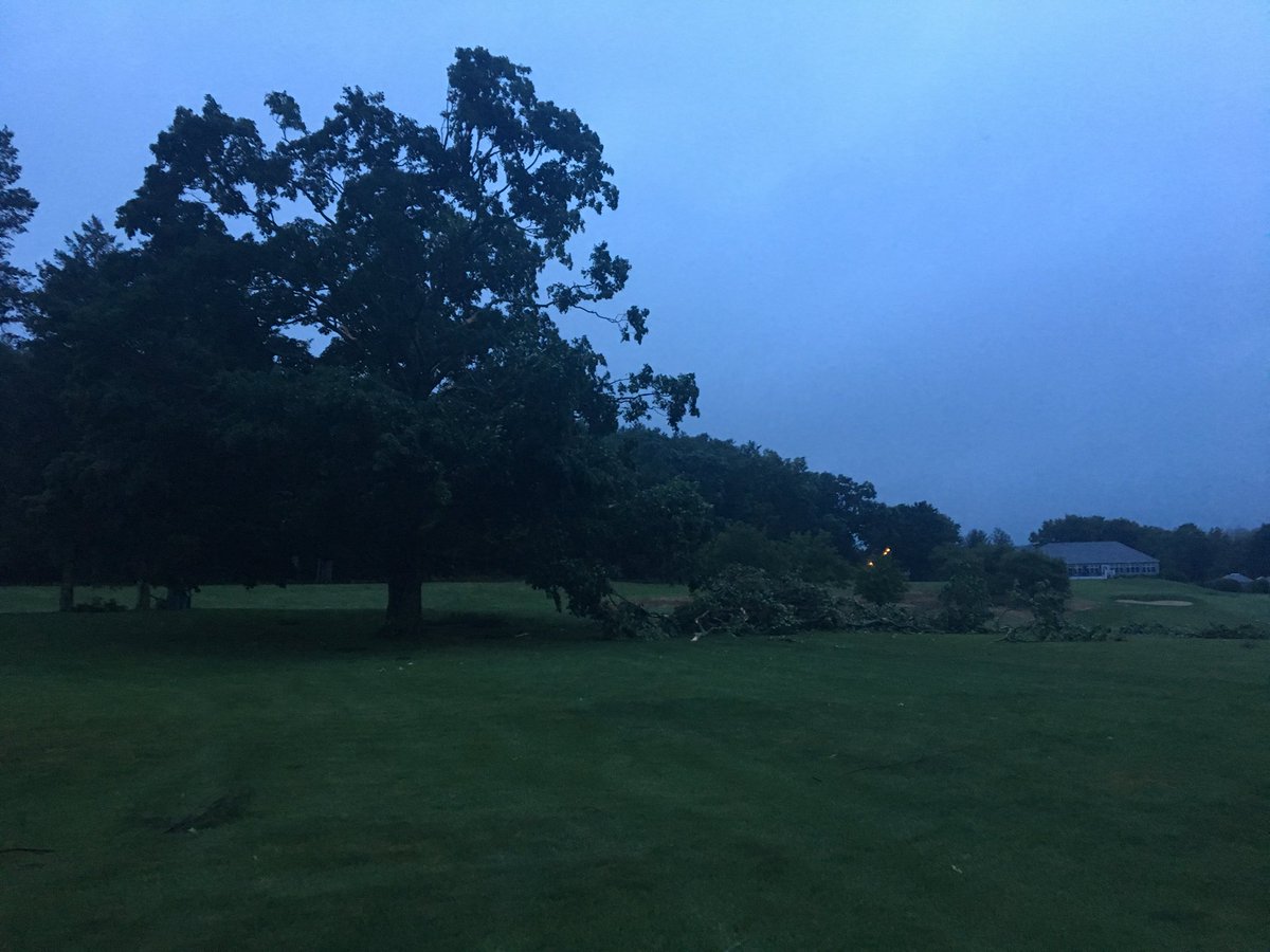 WGC_Grounds's tweet photo. Tornado hit WGC last night, damaging the maple behind 7 green and taking out the red maple on Linwood Pond overhanging 9
                                                                   Cleanup is ongoing. No damage to any turf or irrigation components https://t.co/C6DkBM85KK