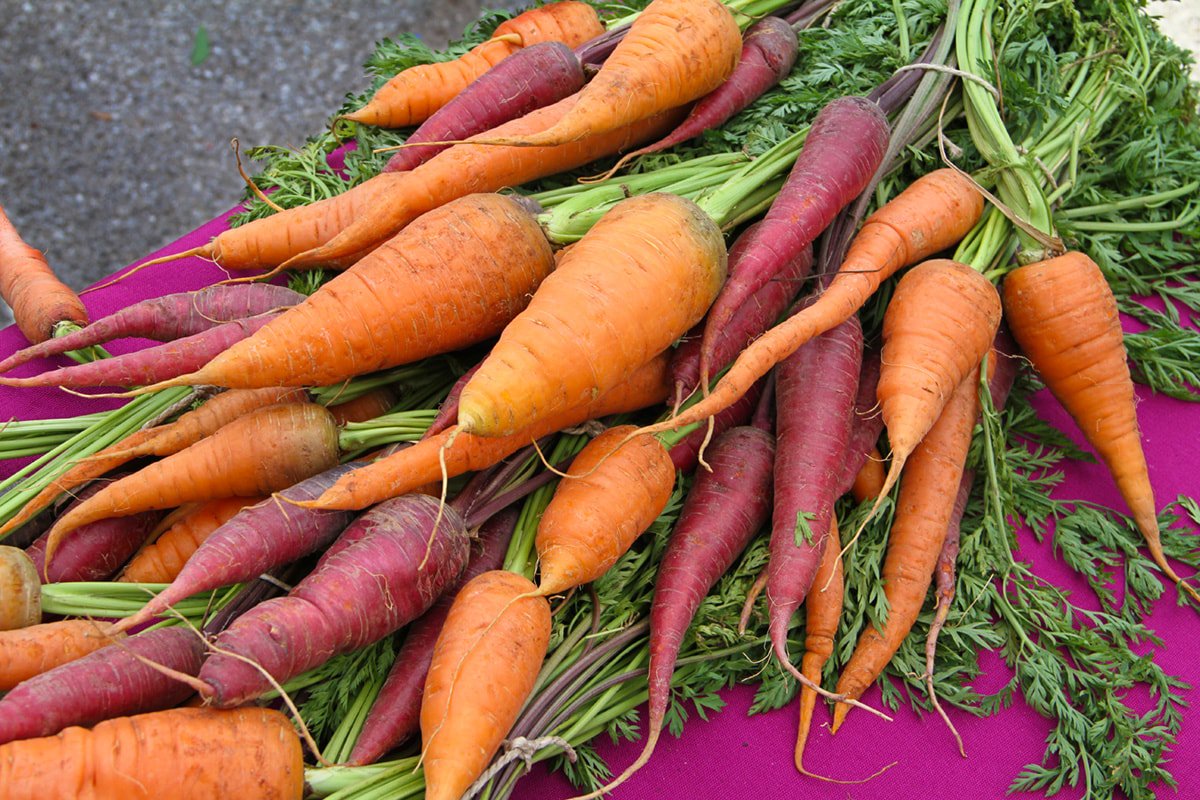 TAPP_Water's tweet photo. https://t.co/ZdxwqNQsgX
Come out to the Southside Farmer's Market today for Youth Day fun! Fresh produce, entertainment, educational activities and more! https://t.co/RupQYC275O