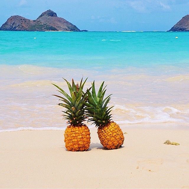 Hey WH, it’s coming? <a href="/DrCSJones/">Christopher Jones</a> <a href="/karenjdowney/">KDowney@conleyschool</a> @gmferrojr <a href="/mmgrable/">Michael Grable</a> <a href="/casehighprinc/">Brian McCann</a> <a href="/MGeoghegan22/">Martin Geoghegan (he/him/his)</a> <a href="/WilliamTranter2/">William Tranter</a> <a href="/khsandler/">Kerri Sandler (she/her)</a>