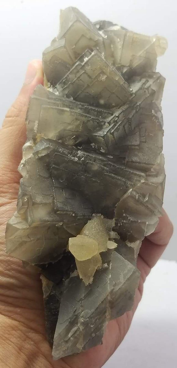 Noorgems4's tweet photo. Beautiful brown Fluorite &amp; Calcite Specimen 
Weight = 700 grams 
Dimension = 174 × 62 × 53 mm
Origin = Balochistan  (Pakistan)
Price = 20 $    PayPal
https://t.co/d38wF4MHgG
#fluorite #crystals #naturalstone #etsy #rocks #gemstone #minerals #eBay #boho #gems https://t.co/yMH3MRAyXI
