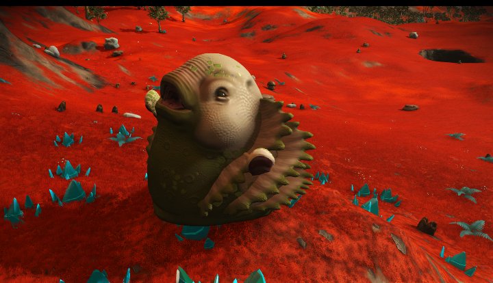 space_hippyy's tweet photo. I love this little guy😂😂😂 what's everyone's fav critter so far? #NoMansSkyNEXT #NoMansSky https://t.co/9H7AdYI6pK