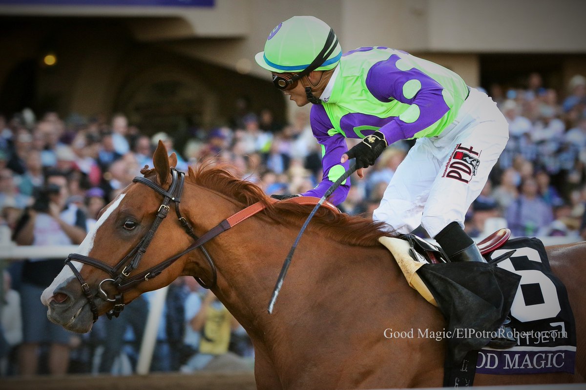 PotroRob's tweet photo. #Hipismo – Good Magic es el favorito 6-5 según el morning line en el Haskell G1 largando desde el cajón #6. En 4 actuaciones saliendo de este puesto de pista tiene un 1ro (#BC2017 Juvenile G1), dos 2dos (Kentucky Derby G1 y Champagne Stakes G1) y un 3ro (Fountain of Youth G3) https://t.co/H6QZujocVt
