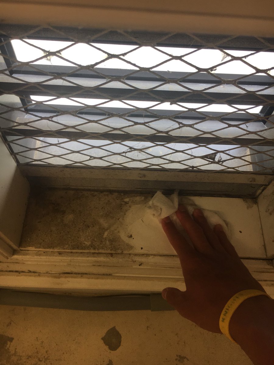 TannerRStewart's tweet photo. Clean pump room makes a happy manager for #pooloftheweek2018 @CrystalAquatics https://t.co/oqi0VkhIrF