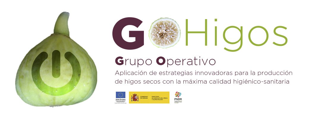 Gohigos tweet media