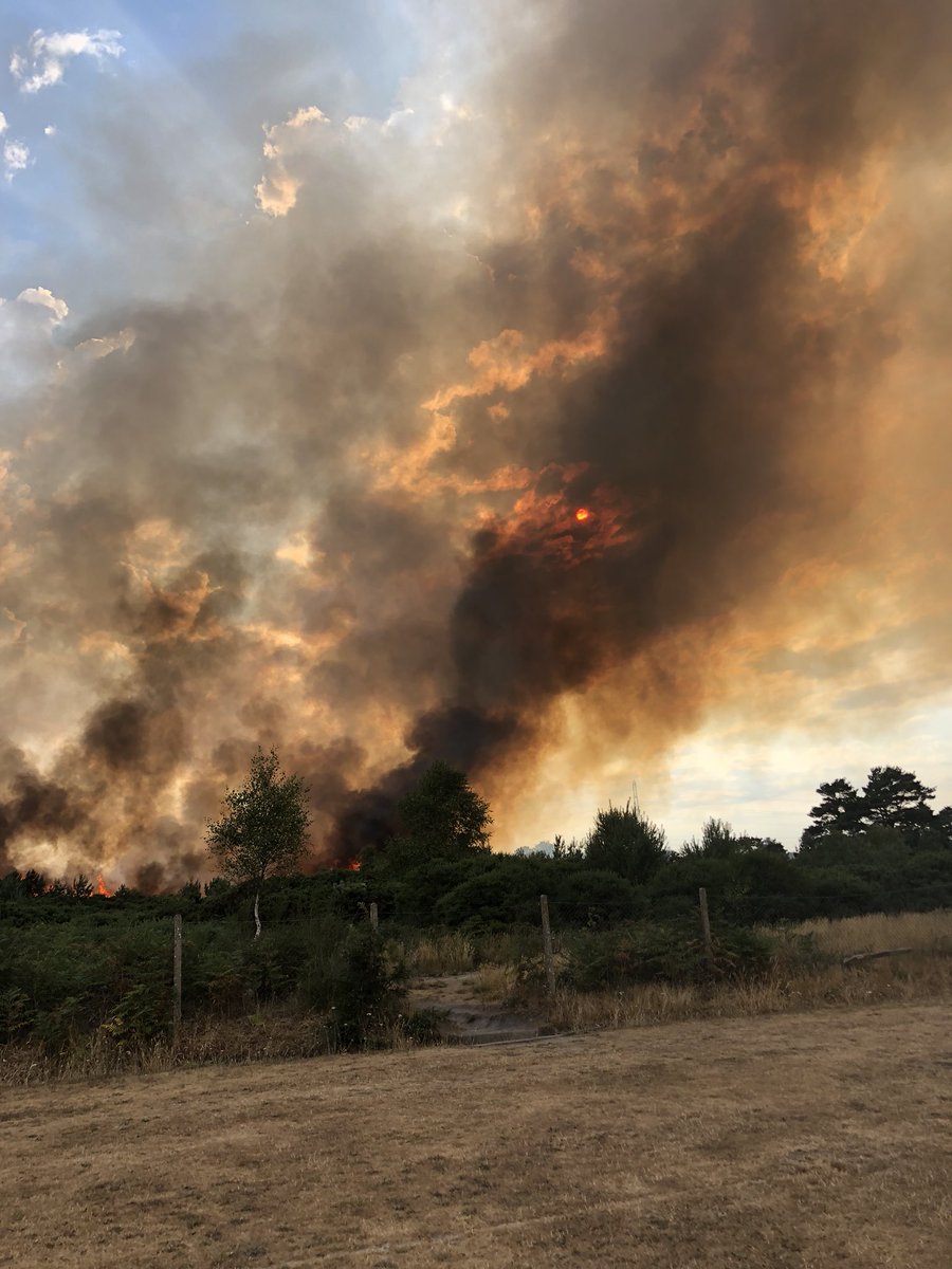 aaronhead's tweet photo. Another heath fire behind Ferndown First School @Bournemouthecho https://t.co/siAaRMFjhQ