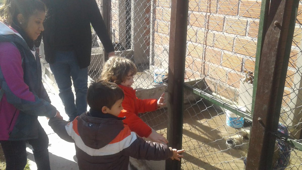 LucasAnimalito's tweet photo. Hermosa visita de niños de 2, 3 y 4 años de Salita maternal Tacita  P.E.P.A (Programa Educativo de Protección a los Animales) Centro de Adopciones @MuniSalta
Muchas gracias x la presencia, colaboración de colectivo y regalitos @CristinaGomezOK
@GustavoSaenzOK
#EducandoElCorazon https://t.co/JCC9dFtAGj