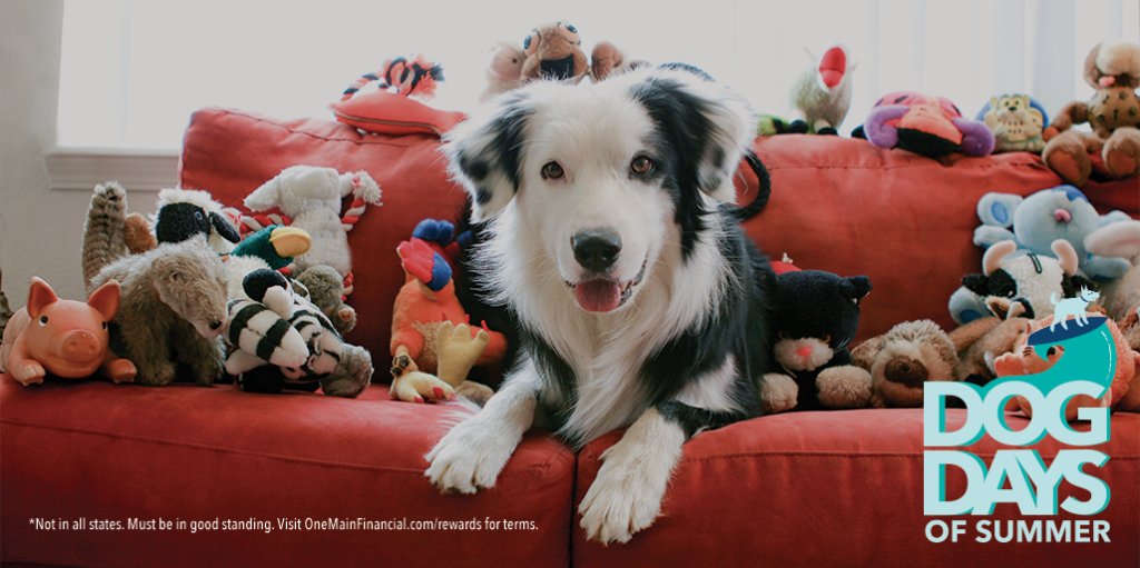 OneMain's tweet image. Redeem OneMain Rewards points for select gift cards and treat your four-legged friends to toys, treats and more this summer: spr.ly/Rewards2018