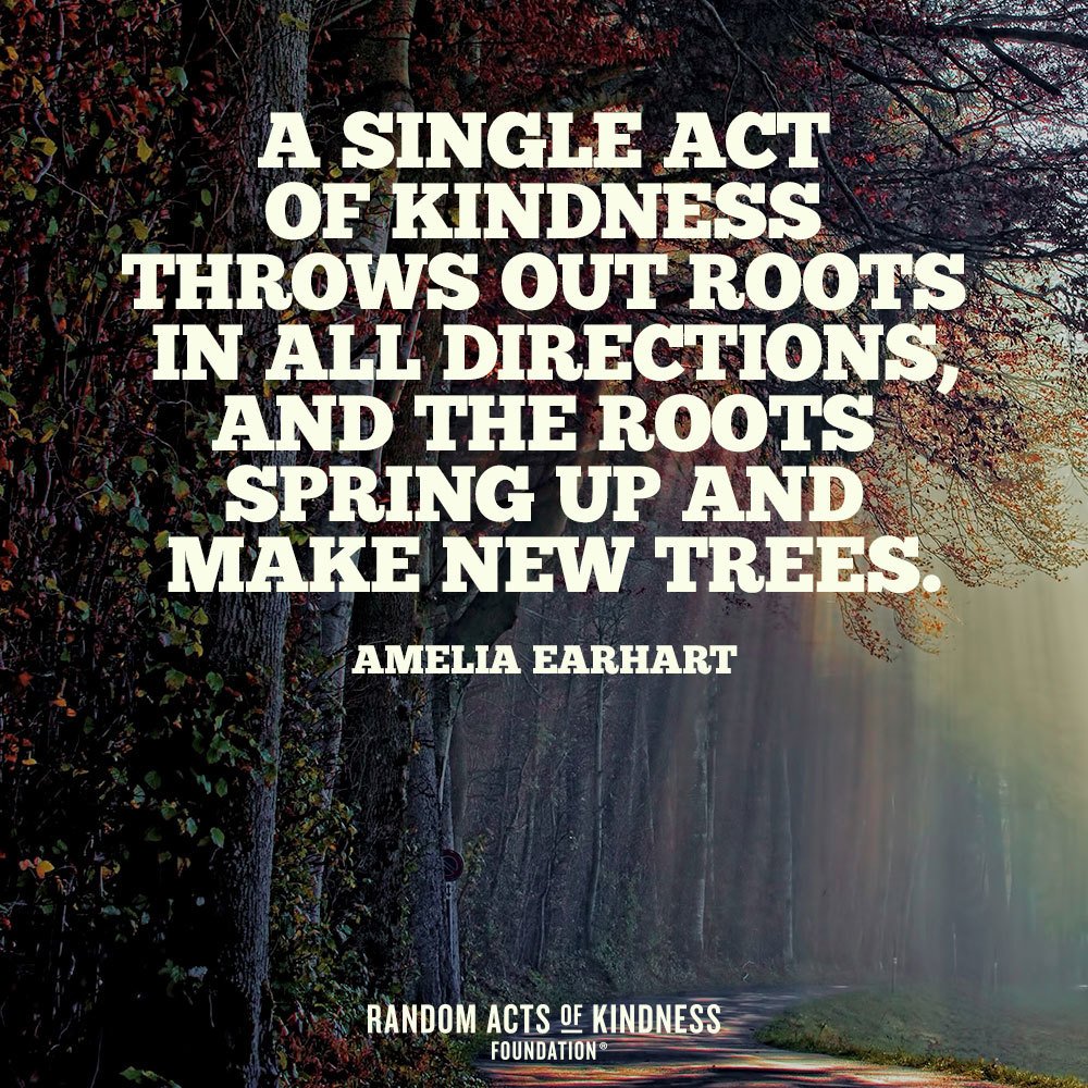 A single act of kindness throws out roots in all directions, and the roots spring up and make new trees. -Amelia Earhart
#RandomActsOfKindness #Kindness #KindnessQuotes
