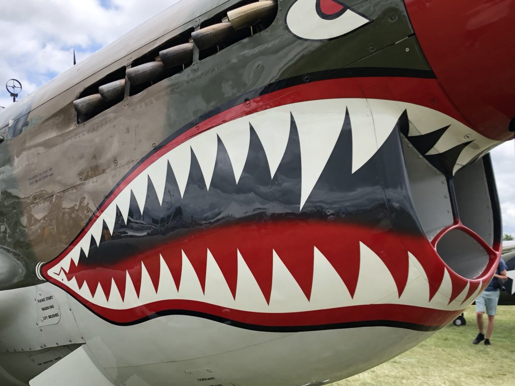 Daughter: Aren’t you sad to be missing #SharkWeek ?  Me: Nah.  #OSH18 #EAA