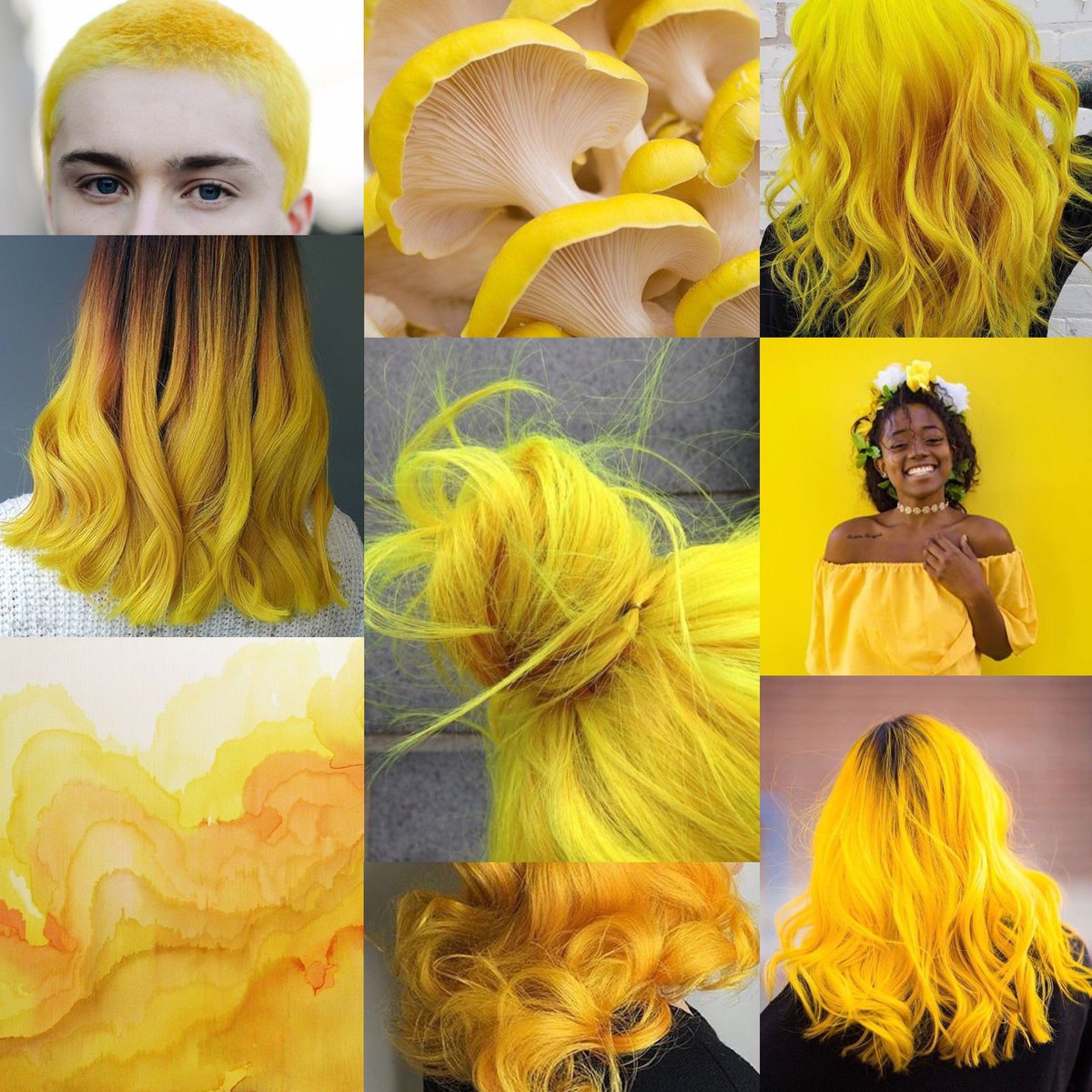 Fudge Professional tweet media