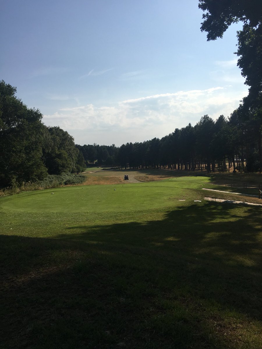 Kane Gilder Coaching tweet media