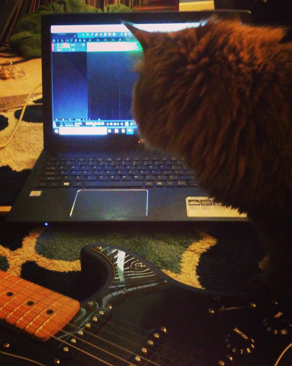smithpercussion's tweet photo. Willow helping me do some songwriting before lessons today. #music #songwriting #songwritingsession #cat #musiccat #guitar #fender #stratocaster #projectstudio #studioone #smithpercussion https://t.co/GNhnKv2Cqm