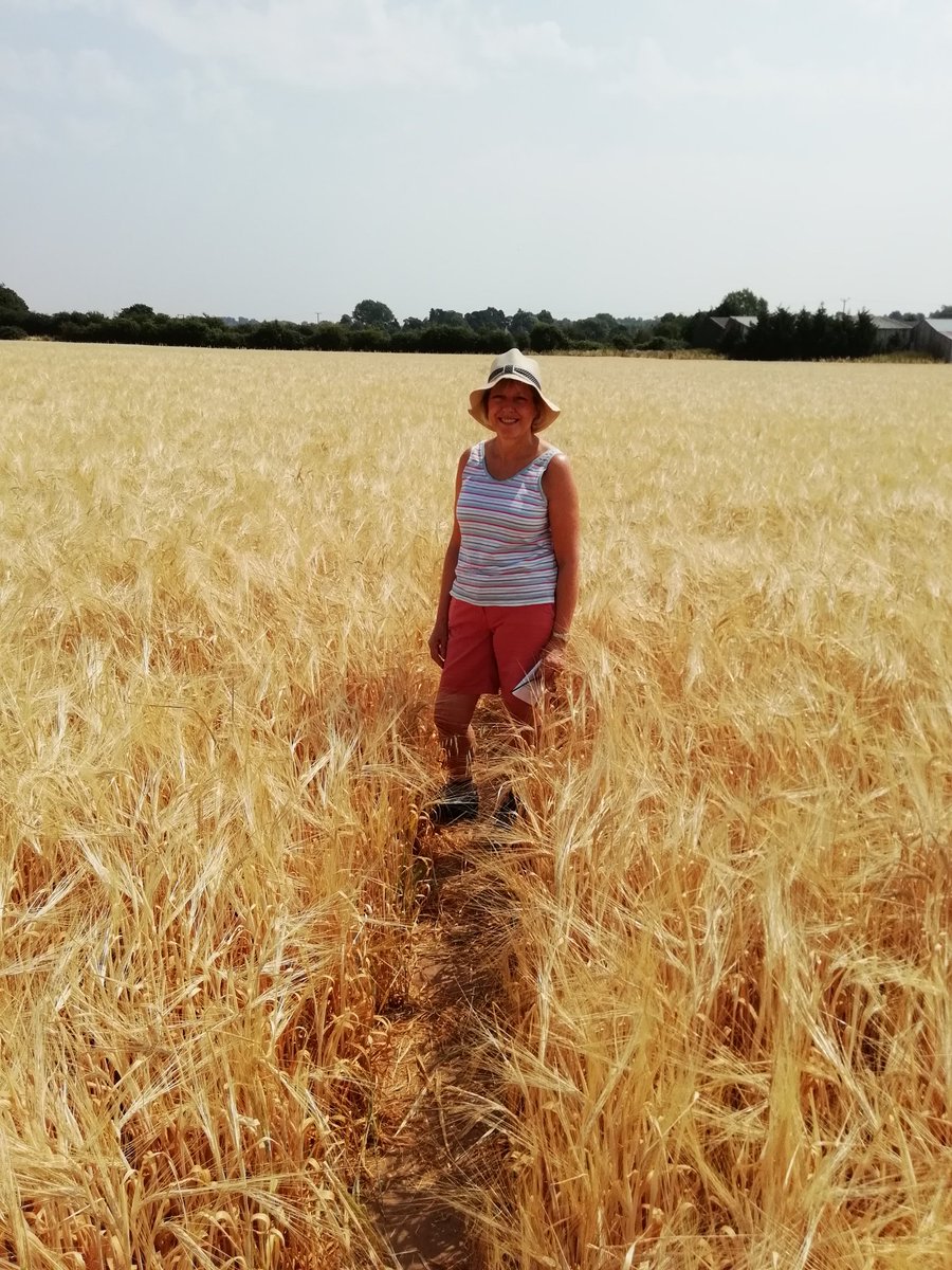 howardcartland's tweet photo. Millennium Way, circular walk 8, Hunningham. #milleniumway #twopubs #Summer #beautifulwalk https://t.co/XV3QB7ZvvC