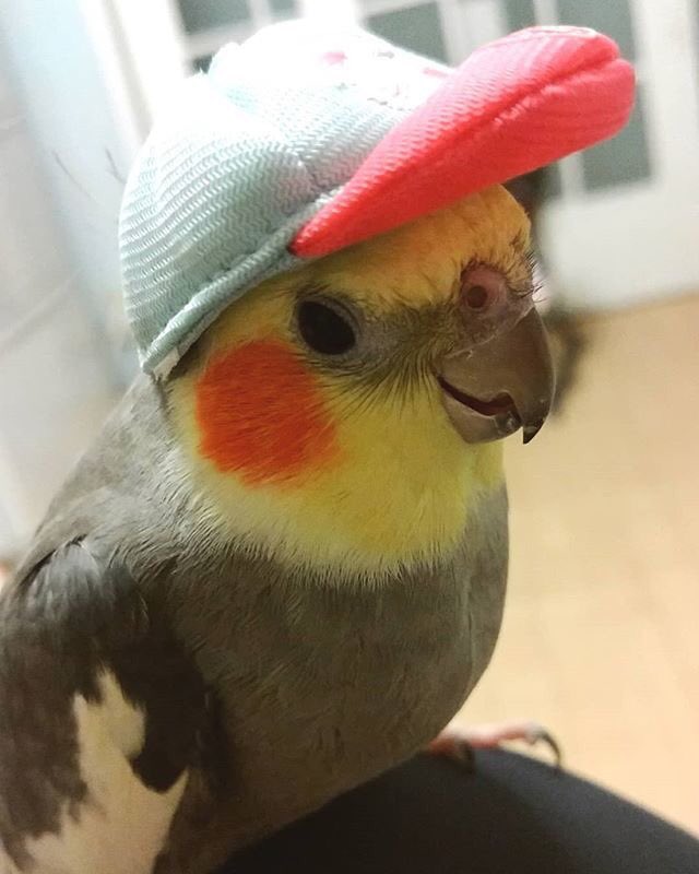 juziuzi's tweet photo. entao ja era eu vou fazer de um jeito q ela nao vai esquecer https://t.co/KZ4TmwtpR4