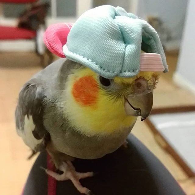 juziuzi's tweet photo. entao ja era eu vou fazer de um jeito q ela nao vai esquecer https://t.co/KZ4TmwtpR4
