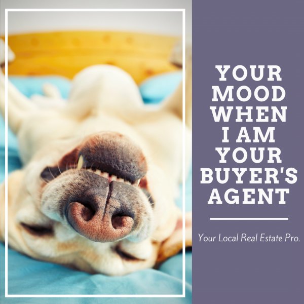 MyHomeInCLT's tweet photo. Call us today so we can help you be this calm!  #CharlotteRealEstate #Charlotte #RealEstateMatchMakers #YourMoodWhen https://t.co/Fd3Kqawq2B