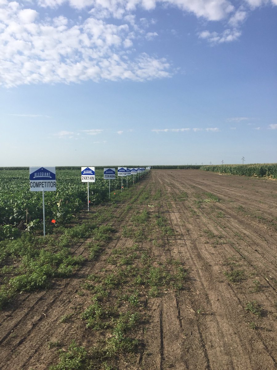 austinwiley014's tweet photo. The Onida Pro Plot is signed! The #AllegiantSeed looks amazing! @CHSInterns @CHSMidwestCoop https://t.co/5qK46NhWsI