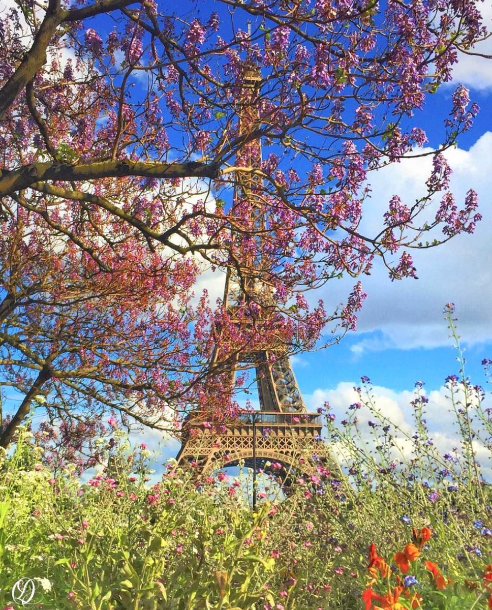When spring. When spring