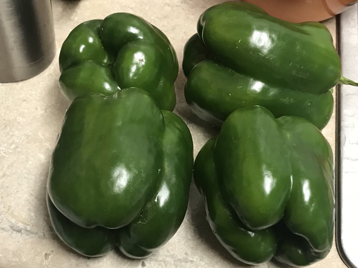 Sreejata116's tweet photo. Harvested the first round of peppers this season from our #Biodegradablemulch plots today! Excited to try some new stuffed pepper recipes! https://t.co/krQlCCgvzy