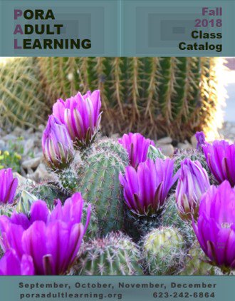porascw's tweet photo. The new PORA Adult Learning Fall Class Catalog is out. Come by PORA to get your copy! The Fall Classes are also available online for your convenience. https://t.co/EuOoYkbhgZ