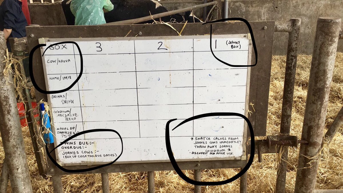 newportbeach89's tweet photo. Gold stars for @RedgeEdge @chadstor today! 😁🌟#edgefarming #johnesmanagement #staffcomms #polish #teamdairy https://t.co/mMFMiN0bci