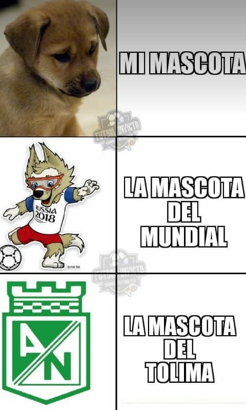 William Guzman (@alguzmar1960) on Twitter photo 