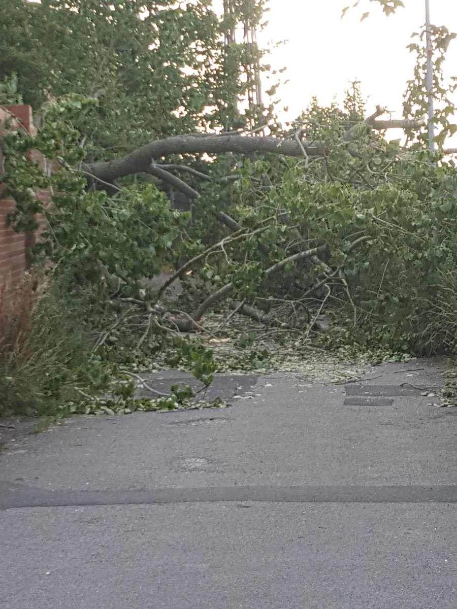 <a href="/HaltonBC/">Halton Council</a> Any chance of gettin this fallen tree sorted ???
Nr simonsfield nursing home and runcorn boys club on boston ave !!!  #timbaaaaaaa 🌲🌳
