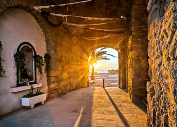 Ver imagen en Twitter