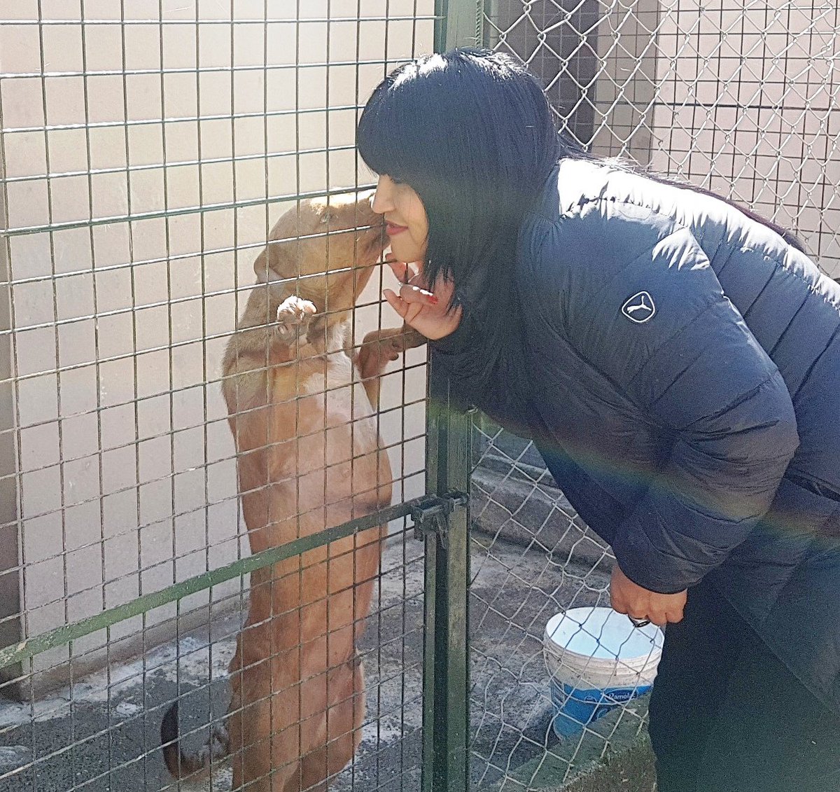 CristinaGomezOK's tweet photo. #Hoy en el Centro de Adopciones de @MuniSalta acompañamos la visita del jardincito de Noe @GustavoSaenzOK @CooperadoraSalt #EducandoElCorazon https://t.co/IdwZmThSS5