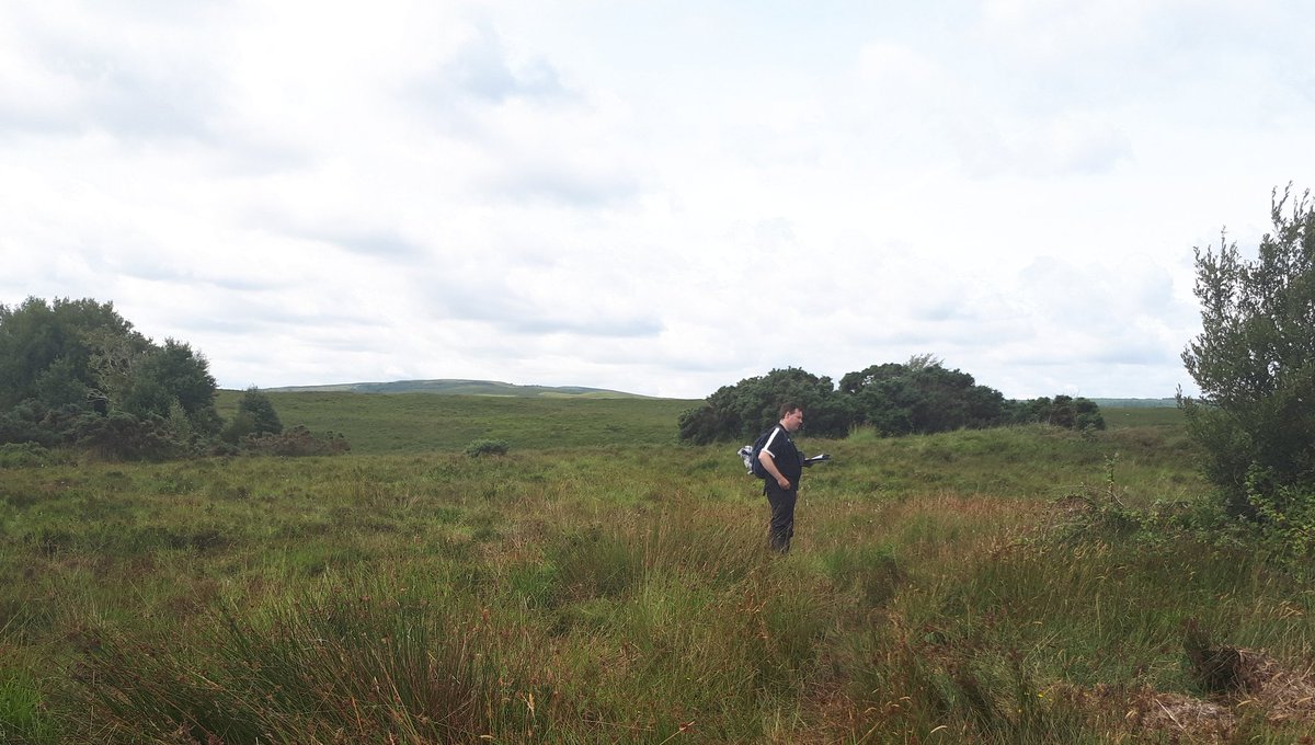 Hen Harrier Project tweet media