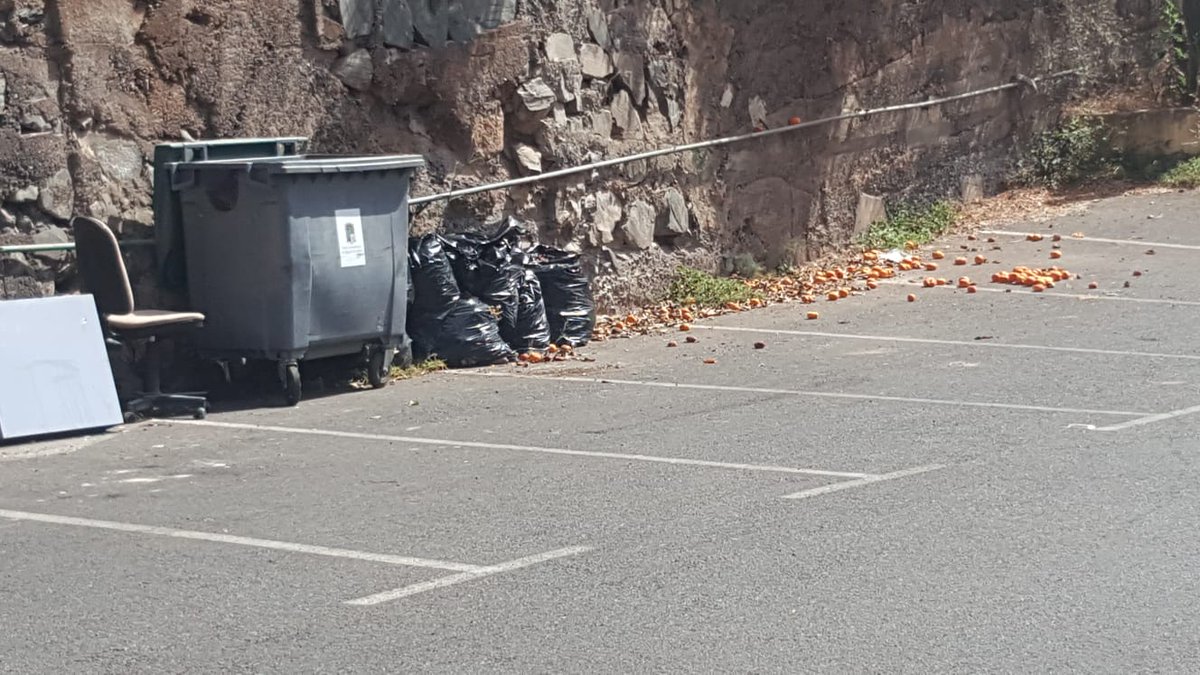 AlternativaxSM's tweet photo. #Utiaca
Penosas imágenes que se repiten un día si y otro también a lo largo y ancho de nuestro maltratado pueblo
Luego el concejal Irresponsable le echará la culpa a lxs vecinxs,esos que pagan religiosamente para tener un servicio de recogida de residuos digno https://t.co/lIL4O8vm3X