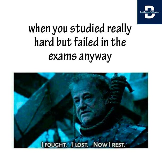 best_custom's tweet photo. And that really hurts 😥. 

#studybreak #studygoals #studygram #studyhard #studying #exams #examstime #essaytime #studysessions https://t.co/icGeern0GA