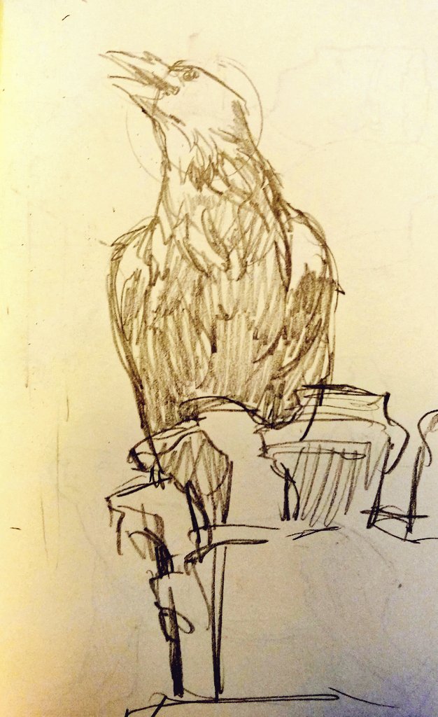 sketched lots of ravens @ the tower of london today!! @ravenmaster1 