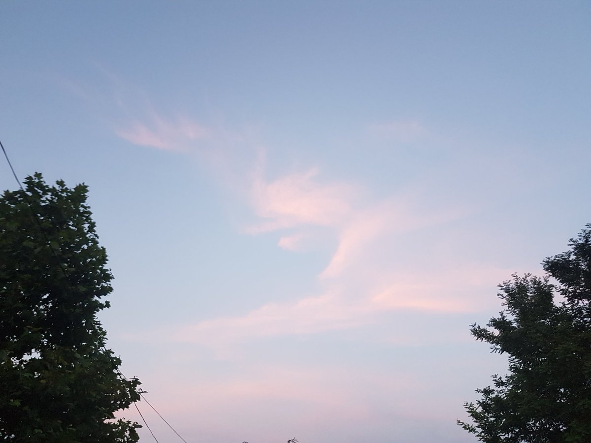 Babbla12's tweet photo. Dove in the evening #sky
#clouds #cloudimages #cloudphotos https://t.co/LRgzKZaKYl