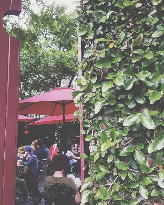 Friday night is open mic poetry slam in the courtyard! Join us for our monthly #firebrandfriday by taking the stage or hanging out and listening. Its an inspiring night of truth-speaking, humor, soul-bearing and community love with <a href="/savspg/">SpitfirePoetryGroup</a>, don't miss it… ift.tt/2LVyUqo