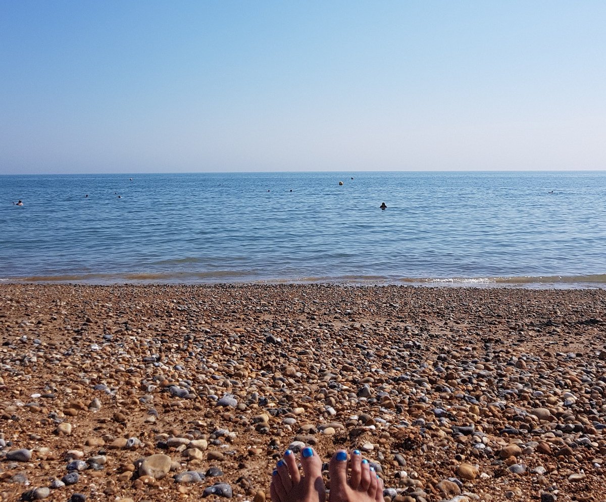 Saras_Fact's tweet image. My day consistent of laying on #Brighton beach and dipping in and out of the cool, soothing sea whenever we got overheated! ♨️ #HeatWaveSolutions #BloodyBliss xx
