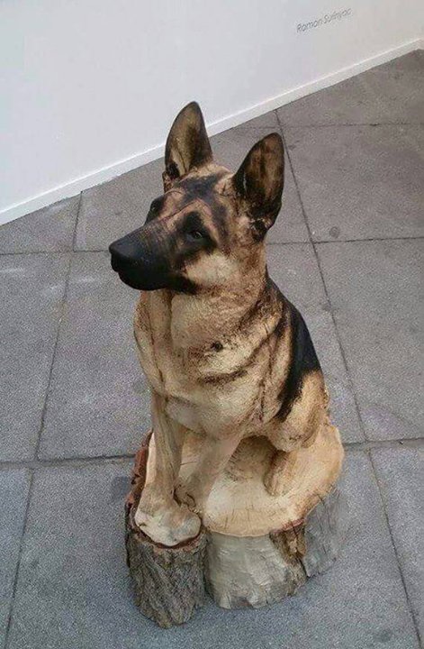 Woodworking Nuts (@woodworkingnuts) on Twitter photo 