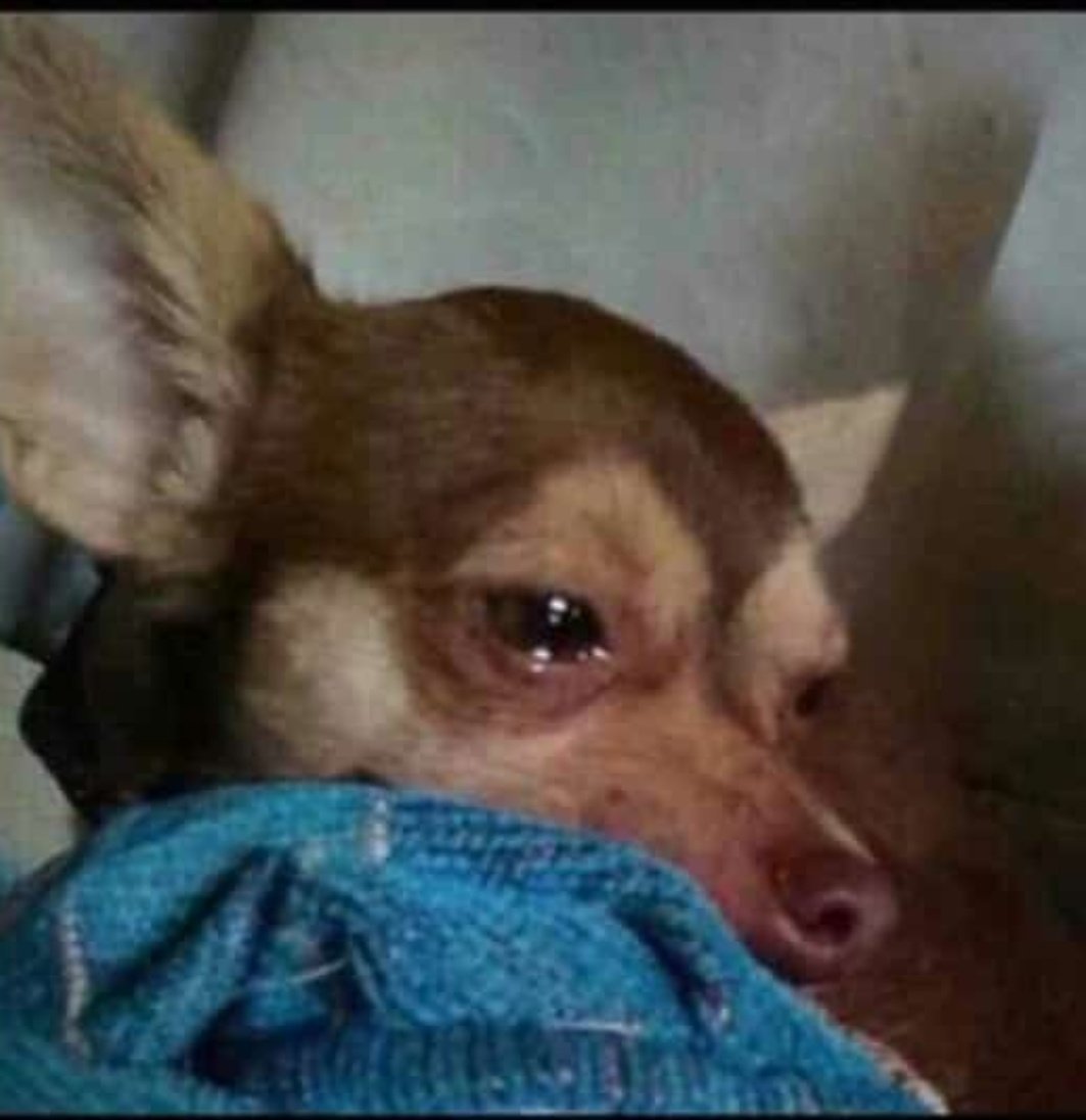 KhaedaReloaded's tweet photo. The way this suspension thing hurts to the core... Restarting is always the pain of it all 😭😭😭😭😭😭😭

#brokenhearted https://t.co/juaIIObSsD