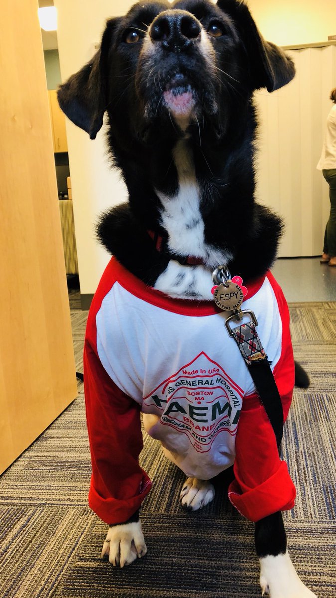 EMRES_MGHBWH's tweet image. #InternOlympics mascot #wellness #InternBootCamp