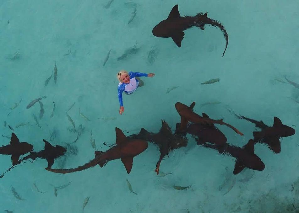 "This journey is yours. Enjoy each and every step." Word of wisdom from PADI AmbassaDiver and shark conservationist <a href="/BiminiSharkGirl/">Jillian Morris-Brake</a> 🦈. 📷: <a href="/OceanicAllstars/">Duncan Brake</a>