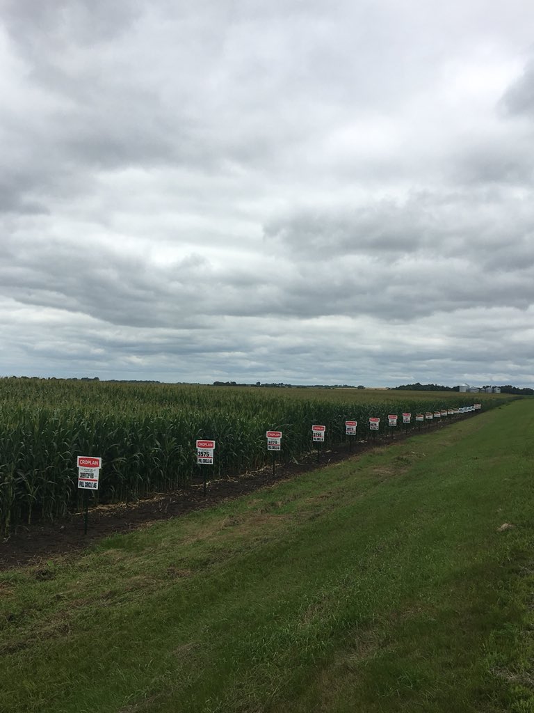 Tim Fieber (@tjfieber) on Twitter photo Let’s see if the new varietys can compete. Full circle ag show plot by Corona SD <a href="/FullCircleAg/">Full Circle Ag</a> <a href="/CROPLANseed/">CROPLAN_North</a> <a href="/DKAS_SD/">DEKALB Asgrow SD</a> Let’s see if the new varietys can compete. Full circle ag show plot by Corona SD <a href="/FullCircleAg/">Full Circle Ag</a> <a href="/CROPLANseed/">CROPLAN_North</a> <a href="/DKAS_SD/">DEKALB Asgrow SD</a>