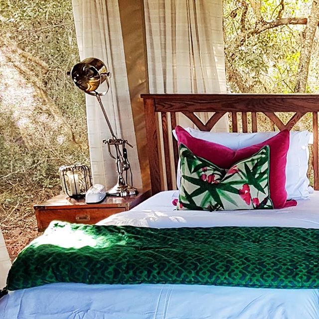 ExpLuxTravel's tweet photo. This takes tented living to another level... some serious #glamping at @thandasafari -
-
#tentedcamp #thandasafari #safari #decor #bushcamps #wildlife #kzn #southafrica #meetsouthafrica https://t.co/VF7S0y3VKC