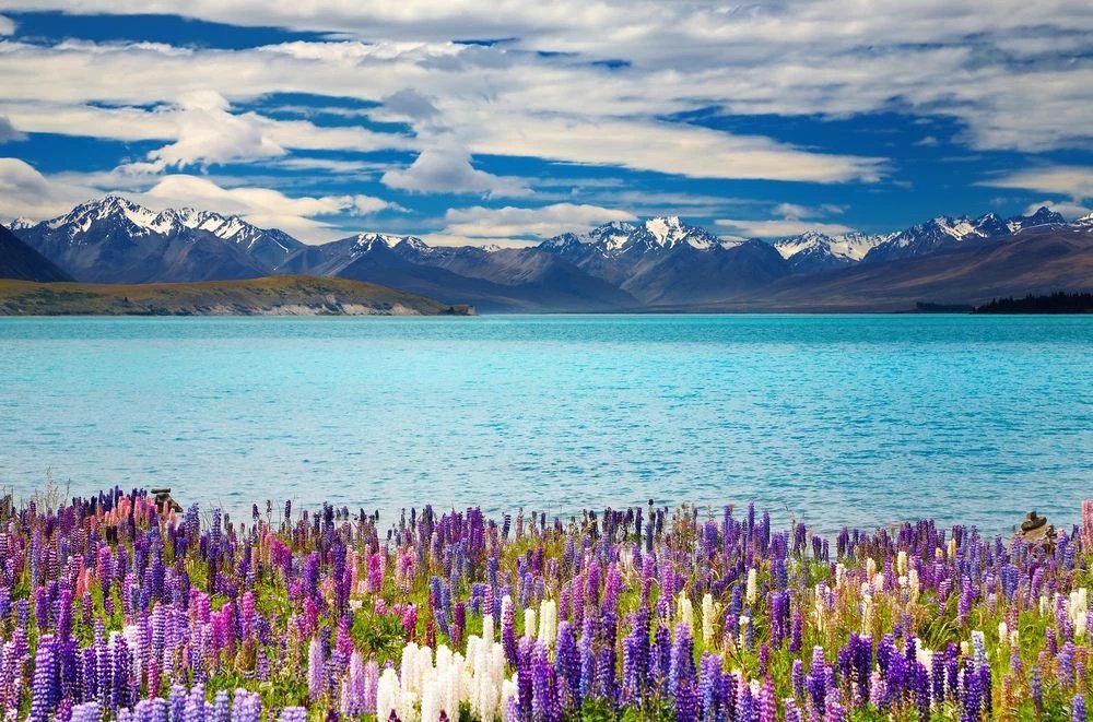 CameraTrickTips's tweet photo. South Island, New Zealand 🇳🇿 https://t.co/56lNM9mq02