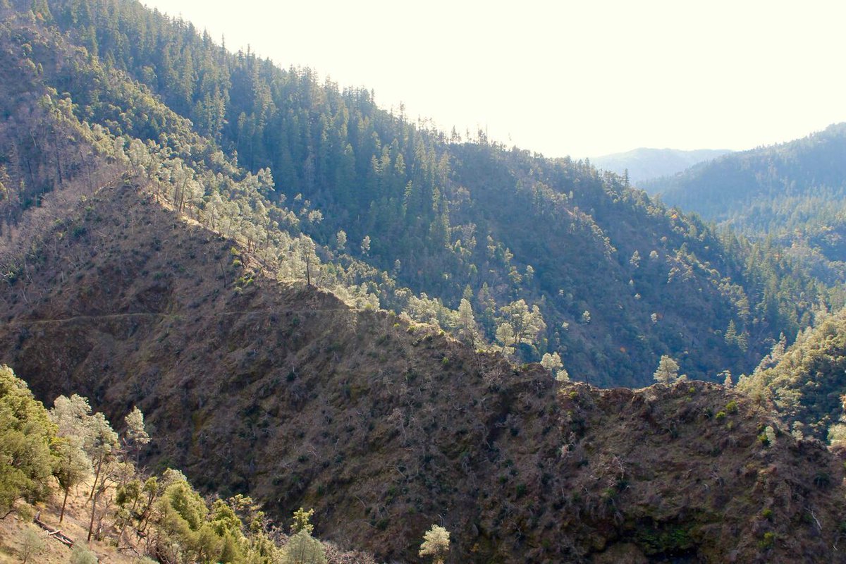 CalWild's tweet image. (2/2) This area in the Shasta-Trinity National Forest would get a recreation management plan, ensuring that recreation and conservation are carefully balanced, essential for keeping public lands available for future generations

#MountainsAndRivers #shastatrinity #NWCASeries