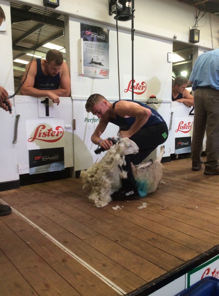 Fab show of young talent at the @royalwelshshow this week! 

#nextgen #makingalivingofftheland 

#WeAreWelshFarming