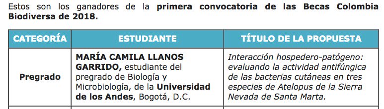 Muy orgullosa de ver a mi estudiante dentro de los ganadores de Colombia Biodiversa. Estudiando las bacterias en los Atelopus de alta montaña. #microbiome @FAAEColombia. Muy bien por María Camila. @CienBiolAndes @CrawLab @ChytridCrisis