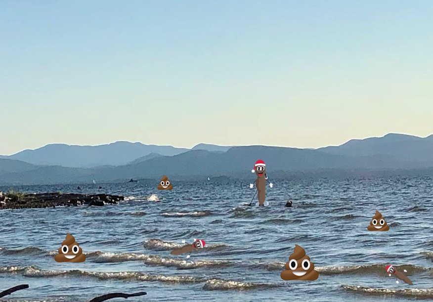 SnarkyElf's tweet image. 🎶Walking on the beaches looking at the feces.🎶 #btv #combinedsewageoverflow
