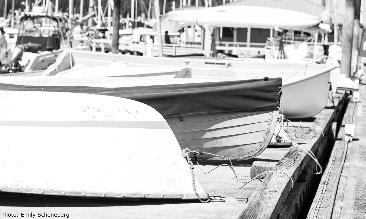 Port Friday Harbor tweet media