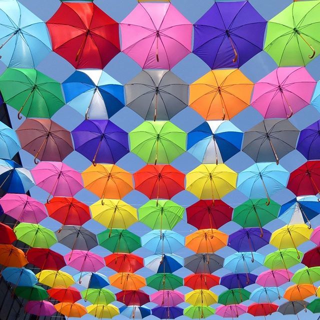 DigitalFutureM's tweet image. COL·OR·FUL 🎨
/ˈkələrfəl/
adjective
1. having much or varied #color; bright. full of interest; lively and exciting.
"a #colorful array of fruit"
synonyms: brightly colored, vivid, vibrant, brilliant, radiant, rich Is your website colorful? ✨ #DigitalF… ift.tt/2AgnYm4