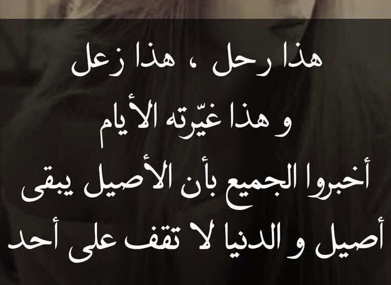 Dmo3_aAlward's tweet photo. https://t.co/hMLyuwoqM2